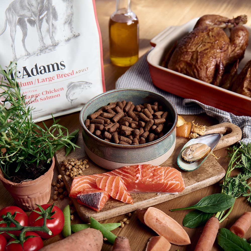 McAdams Medium/Large Breed Free Range Chicken & Salmon