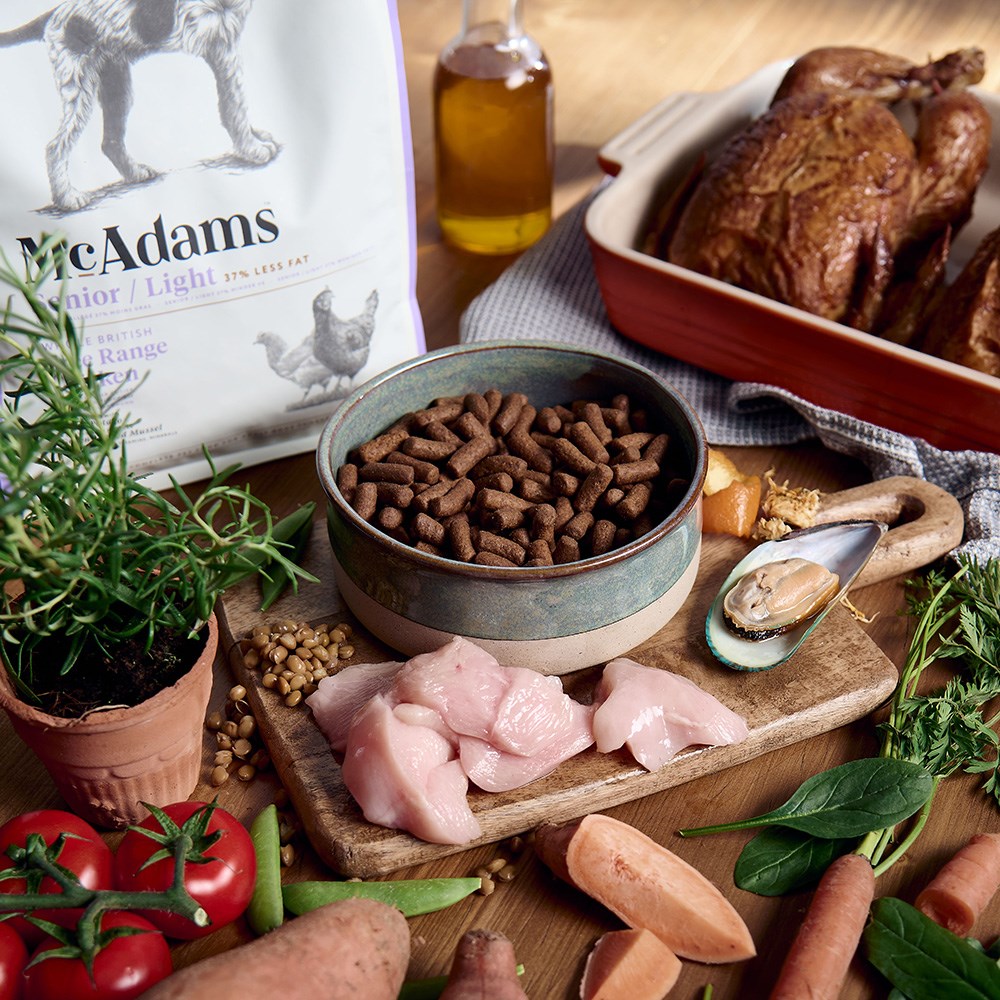 McAdams Senior / Light Dog Free Range Chicken